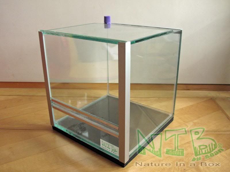 Convert a glass aquarium to a European style terrarium Dendroboard
